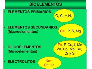 bioelementos