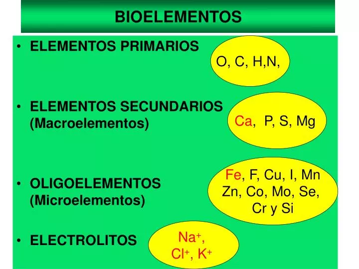 bioelementos