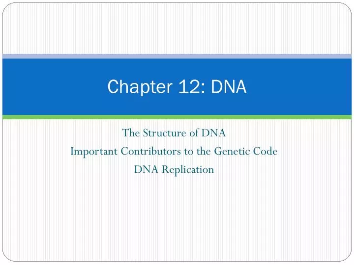chapter 12 dna