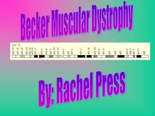Becker Muscular Dystrophy