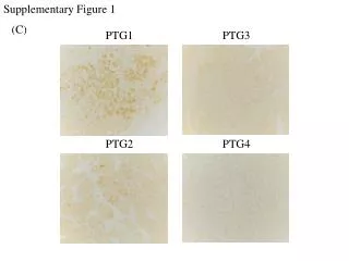 Supplementary Figure 1