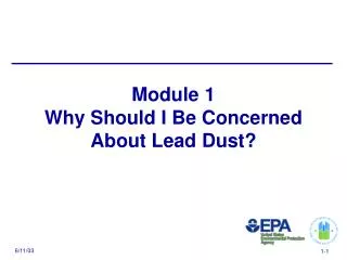 Module 1 Why Should I Be Concerned About Lead Dust?