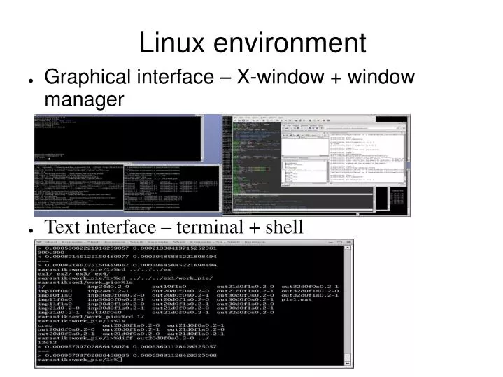 linux environment