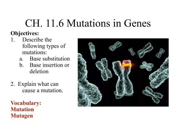 ch 11 6 mutations in genes