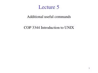 Lecture 5