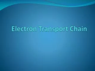 Electron Transport Chain