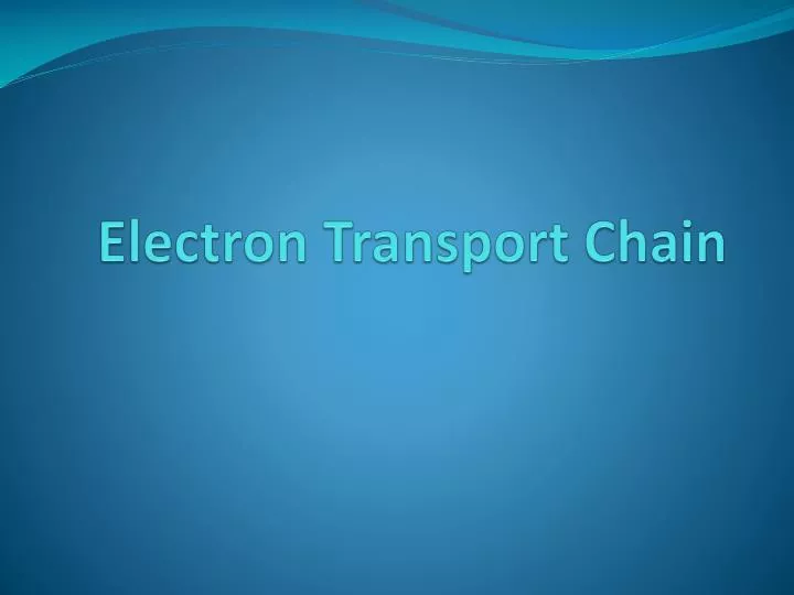 electron transport chain