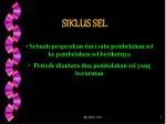 SIKLUS SEL - slide 1