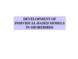 DEVELOPMENT OF INDIVIDUAL-BASED MODELS IN SHOREBIRDS