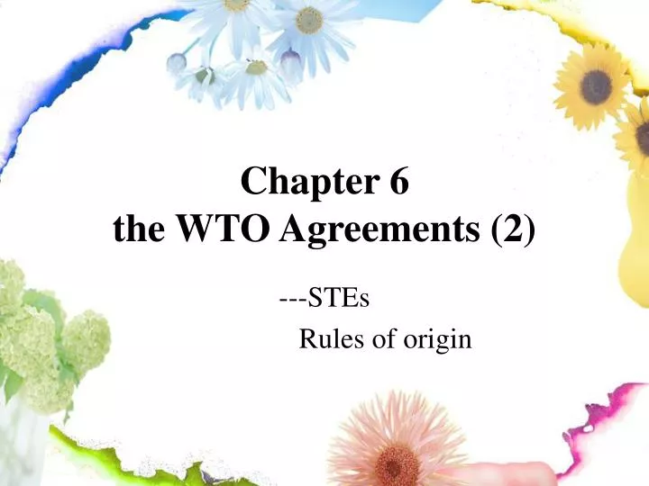 chapter 6 the wto agreements 2