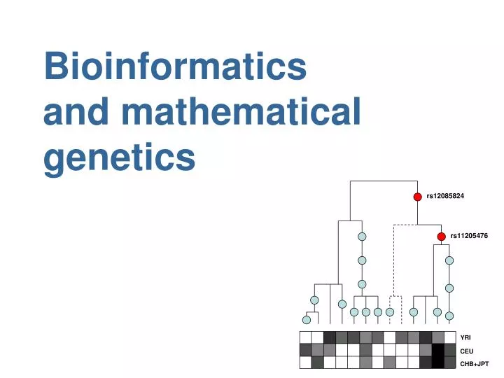 bioinformatics and mathematical genetics