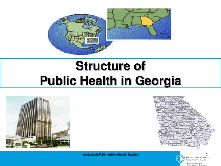 structure of public health in georgia