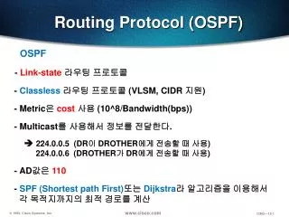 Routing Protocol (OSPF)