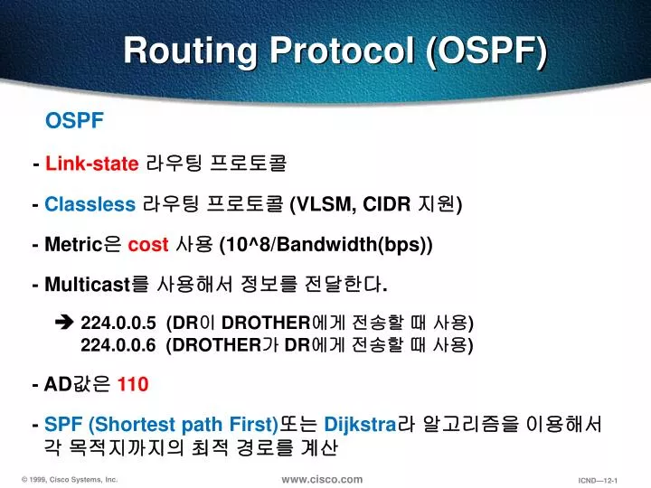 routing protocol ospf
