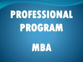 PROFESSIONAL PROGRAM MBA