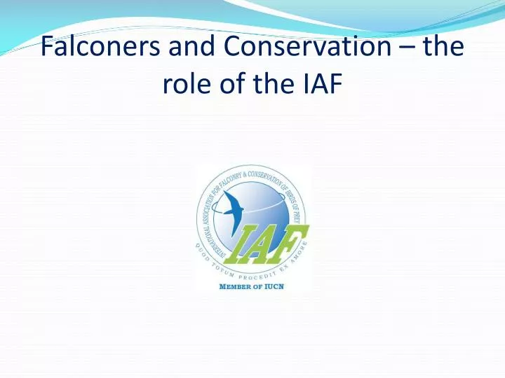 falconers and conservation the role of the iaf
