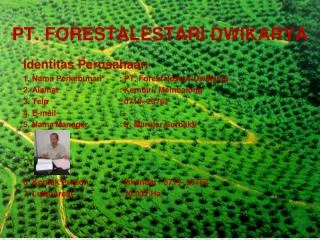 pt forestalestari dwikarya