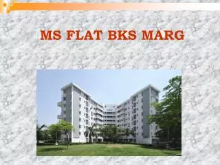 MS FLAT BKS MARG