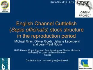 English Channel Cuttlefish ( Sepia officinalis ) stock structure in the reproduction period