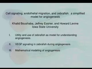 Utility and use of zebrafish as model for understanding angiogenesis.