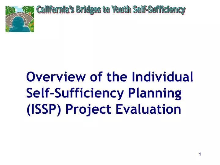 overview of the individual self sufficiency planning issp project evaluation