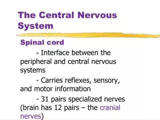 The Central Nervous System