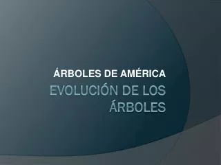 rboles de am rica