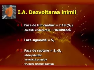 i a dezvoltarea inimii