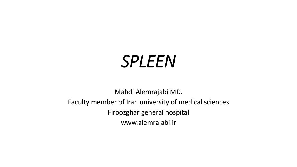 PPT - SPLEEN PowerPoint Presentation, free download - ID:5681533
