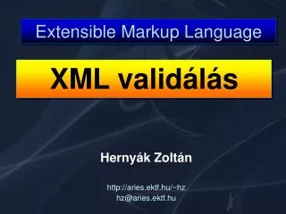 extensible markup language