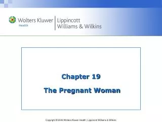 Chapter 19 The Pregnant Woman