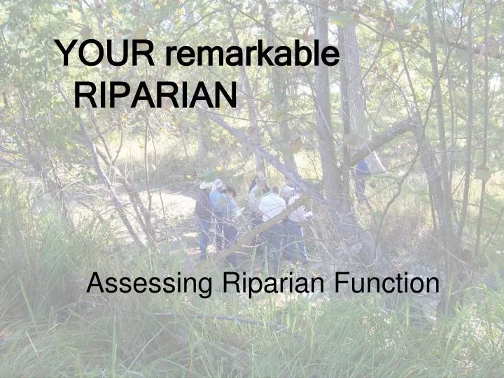 assessing riparian function