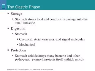 The Gastric Phase