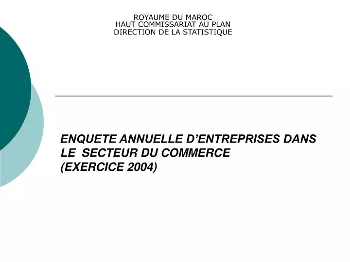 enquete annuelle d entreprises dans le secteur du commerce exercice 2004