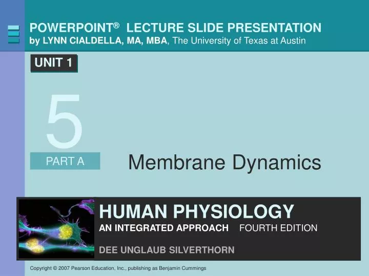 membrane dynamics