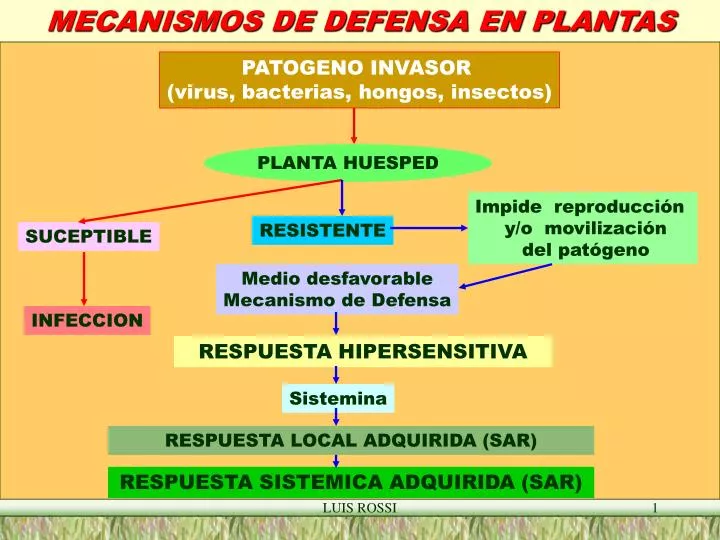 mecanismos de defensa en plantas