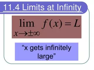 11.4 Limits at Infinity