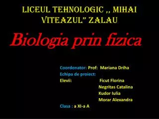 liceul tehnologic mihai viteazul zalau