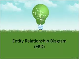 entity relationship diagram erd