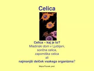celica