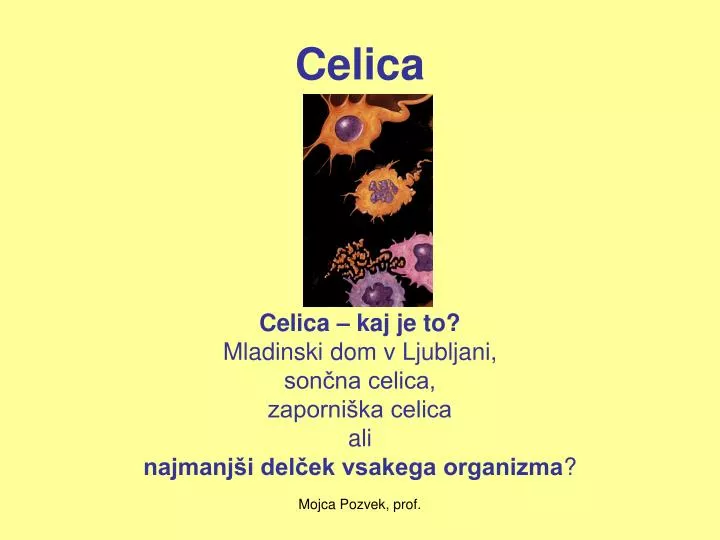celica