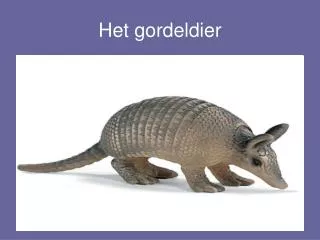 het gordeldier