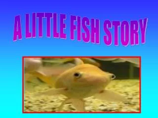 A LITTLE FISH STORY