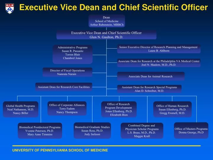 executive vice dean and chief scientific officer