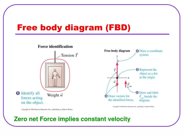 free body diagram fbd