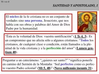 santidad y apostolado 1