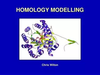 homology modelling