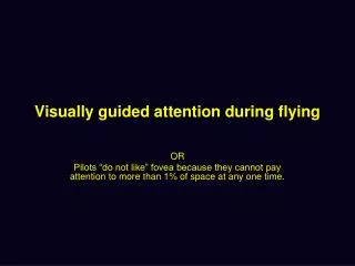Visually guided attention during flying