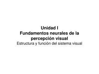 unidad i fundamentos neurales de la percepci n visual estructura y funci n del sistema visual