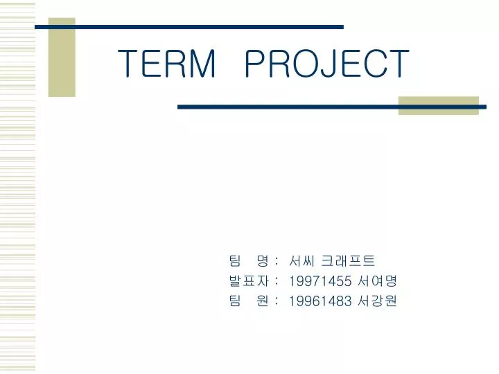 term project